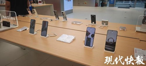 前5月南京經濟穩健增長，‘以舊換新’政策顯效，汽車與家電零售額大幅攀升